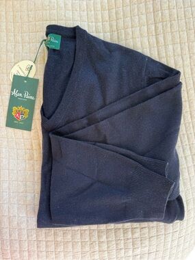 Alan Paine Men's V-Neck Sweater in Navy